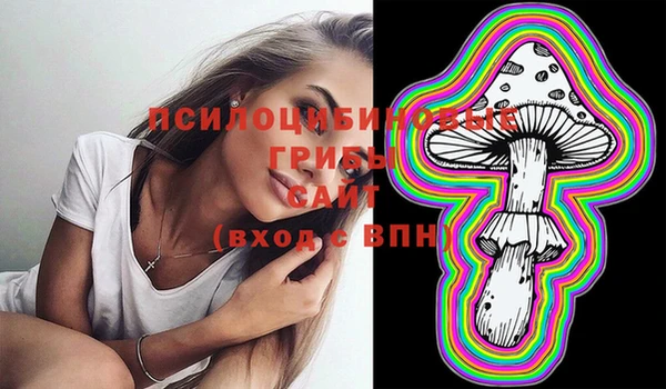дживик Бородино