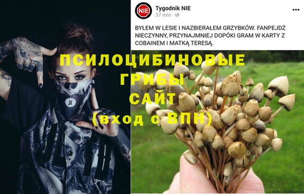 ешки Вязники
