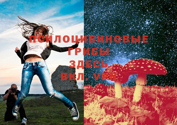 герыч Верхний Тагил