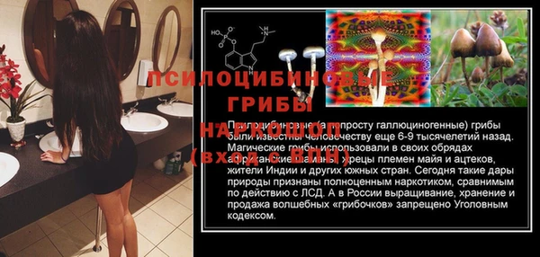 кокс Вяземский