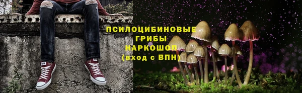 герыч Верхний Тагил