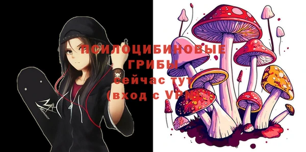 ешки Вязники