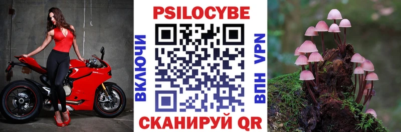 хочу   Елизово  гидра   Псилоцибиновые грибы мухоморы 